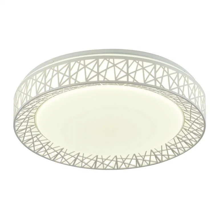 Потолочный светодиодный светильник F-Promo Creatura 2314-5C
