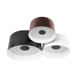 Накладной светильник LOFT IT 10360/3