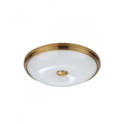 Накладной светильник Odeon Light 4956/4