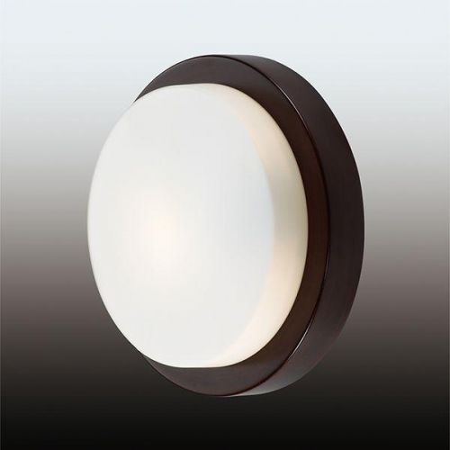 Потолочный светильник Odeon Light Holger 2744/1C