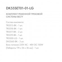 Трек-система Denkirs DK55SET01-01-LG