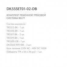 Трек-система Denkirs DK55SET01-02-DB