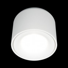 Накладной светильник LOFT IT 10219 White 4000K