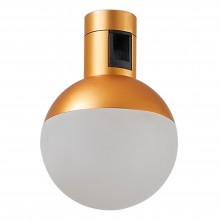 ST815.206.05 Магнитный трековый светильник FARM Золотистый LED 1*5W 3000K 89Lm Ra90 120 IP20 D75xH10