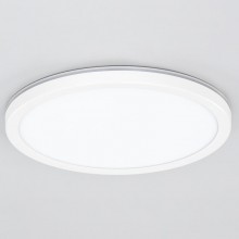 CL738240EL Бейсик Лайн Белый Св-к с пультом LED+RGB 30W