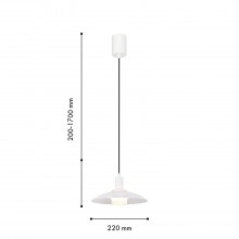 4274-1P, подвес, D220xH200/1700, 1xG9x40W, excluded