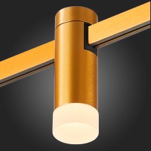 ST812.206.03 Магнитный трековый светильник FARM Золотистый LED 13W 3000K 93Lm Ra90 120 IP20 D29xH90
