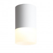 ST100.502.05 Светильник потолочный Белый LED 1*5W 3000K 390Lm Ra>80 120° D64xH110 170-240V