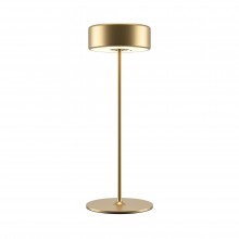 Аккумуляторный светильник Maytoni MOD229TL-L3G3K2