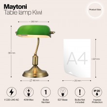Настольный светильник Maytoni Z153-TL-01-BS