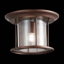 SL080.402.01 Светильник уличный потолочный ST-Luce Темный кофе/Прозрачный, Темный кофе E27 1*60W