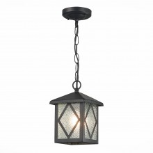 SL084.403.01 Светильник уличный подвесной ST-Luce Черный/Черный, Прозрачный E27 1*60W