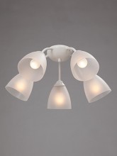 Накладная люстра Vitaluce V3737-0/5PL