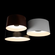 Накладной светильник LOFT IT 10360/3