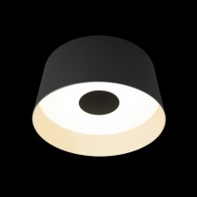 Накладной светильник LOFT IT 10360M Grey