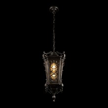 Подвесной уличный светильник LOFT IT 100019P BS