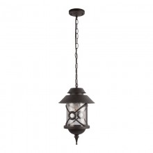 Подвесной уличный светильник LOFT IT 100021P