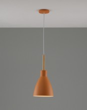 Потолочный детский светильник Moderli V10650-1P