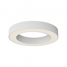 Потолочный светильник Technical C093CL-36W3K-W