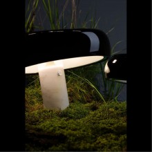 Декоративная настольная лампа Divinare DENTON 1083/06 TL-2