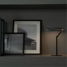 Декоративная настольная лампа Divinare SOLE 3234/06 TL-1