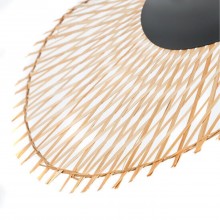 Подвесной светильник Arte Lamp WOODSTOCK A7063SP-1BK