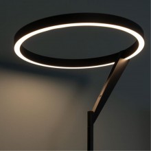 Торшер Divinare SOLE 3234/06 PN-1