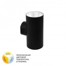 Фасадный светильник Arte Lamp ALCYONE A6109AL-2BK