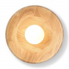 Настенный светильник (бра) FR5589WL-01T