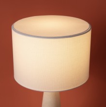 Настольный светильник FR2054TL-01BS