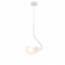 Подвесной светильник FR5228PL-01W