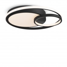 Потолочный светильник FR10028CL-L80B