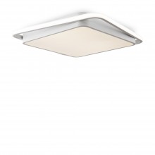 Потолочный светильник FR10030CL-L88W