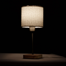 Декоративная настольная лампа Arte Lamp CHARLIE A5071LT-1SS