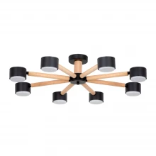 Потолочная люстра Arte Lamp TENDA A1624PL-8BK