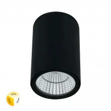 Уличный потолочный светильник Arte Lamp TORCULAR A1307PF-1BK