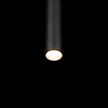Подвесной светильник LOFT IT 10334/300 Black