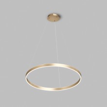 Подвесной светильник Denkirs DK6272-SG