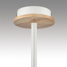 Люстра на штанге LUMION 8246/3C