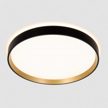 Накладной светильник Citilux CL750321R