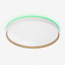 Накладной светильник Citilux CL750400R