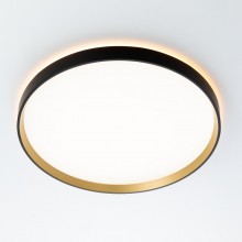 Накладной светильник Citilux CL750401R