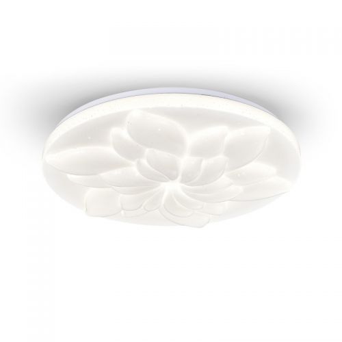Накладной светильник Escada 472/PL LED