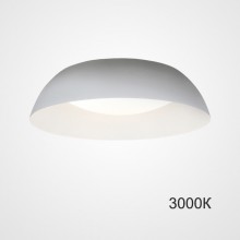 Накладной светильник ImperiumLoft 224027-23