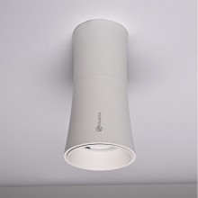 Накладной светильник ImperiumLoft 314096-26