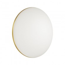 Накладной светильник Sonex 3043/EL