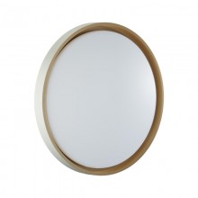 Накладной светильник Sonex 7645/ELN