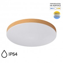 Накладной светильник Sonex 7761/50L