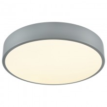 Накладной светильник VELANTE 444-207-01