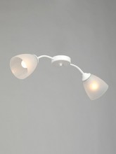 Накладной светильник Vitaluce V3750/2PL